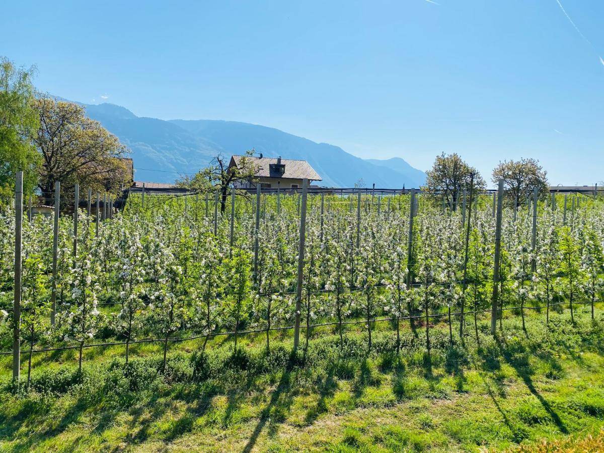 Pension Rebgut Bed and Breakfast Lana Buitenkant foto