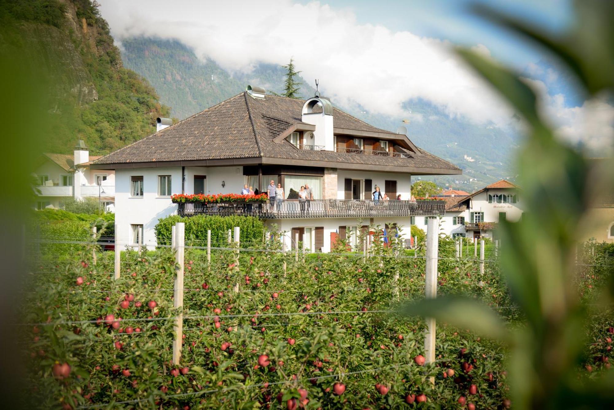Pension Rebgut Bed and Breakfast Lana Buitenkant foto